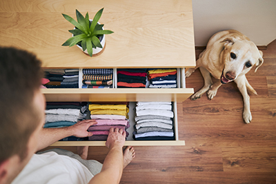 Dresser Drawers